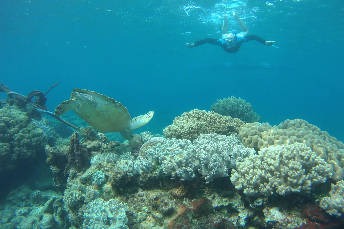 SNORKELING NELLA LAGUNA