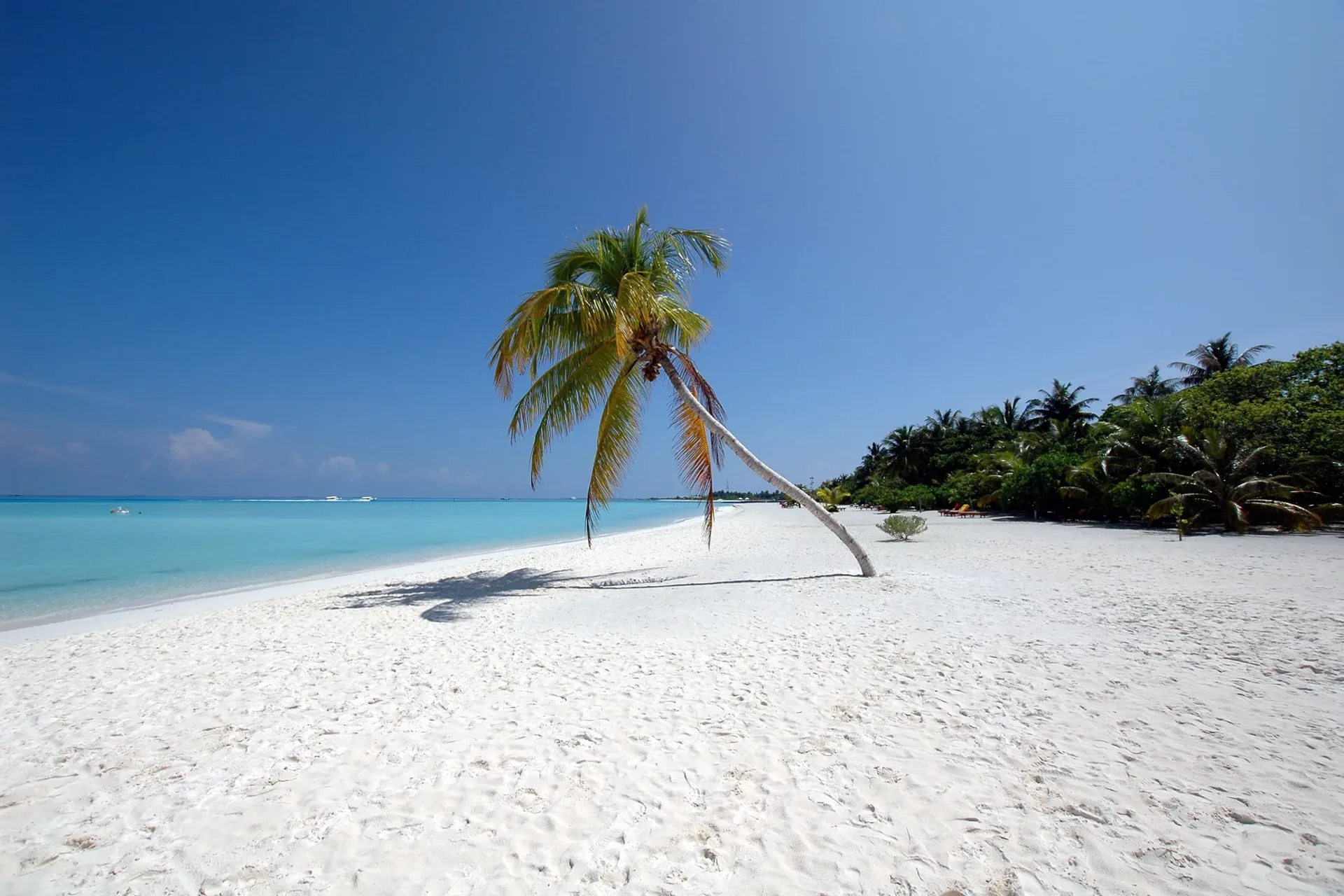 Laguna turchese alle Maldive