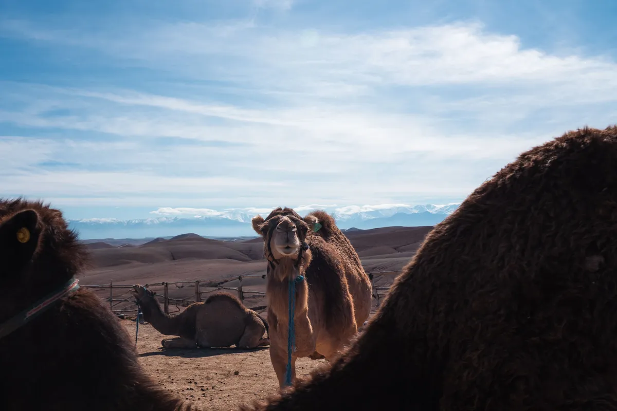 DESERTO E ATLANTE