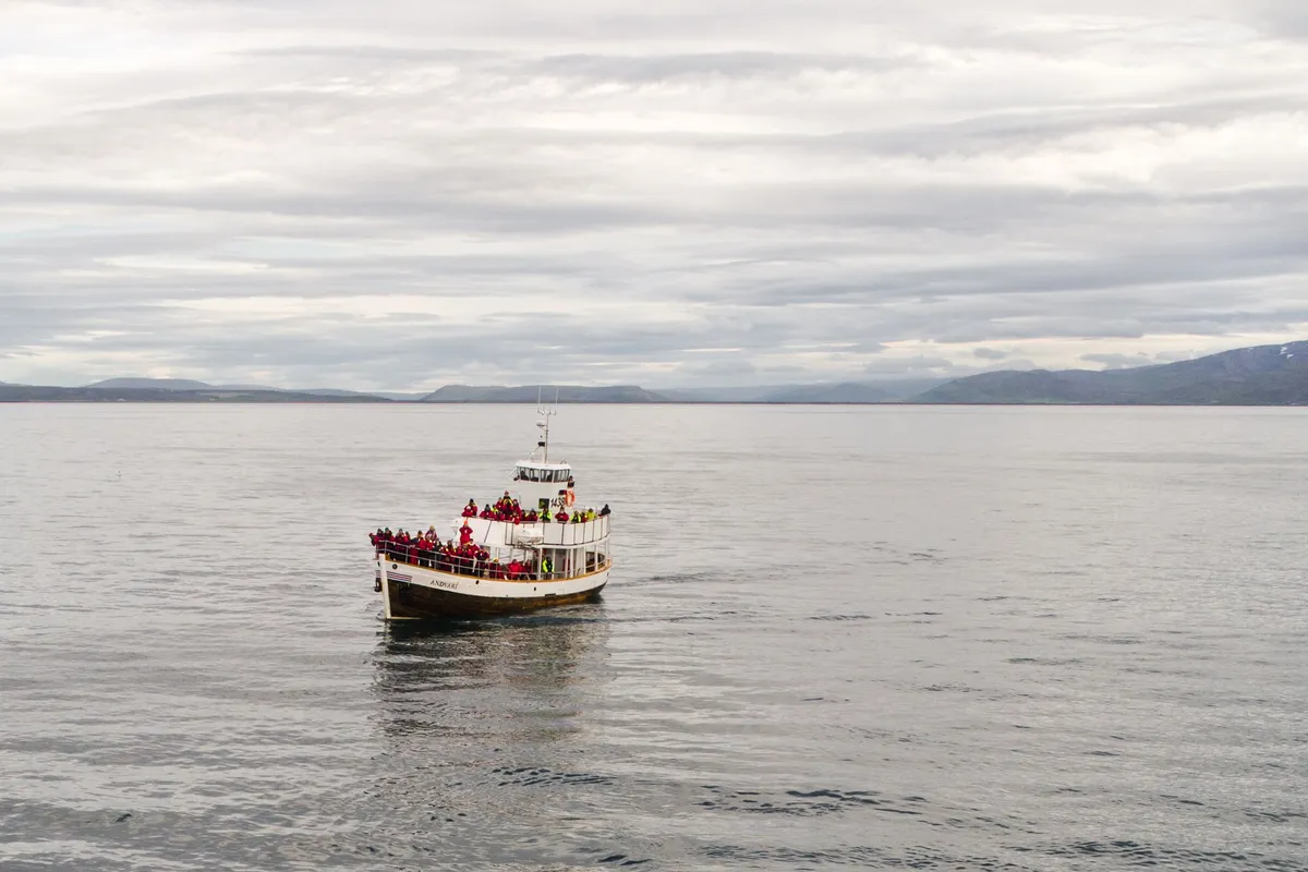 OCEANO E BALENE